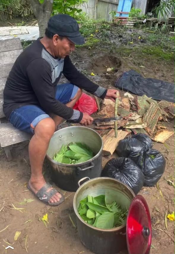 Maestro Americo preparing ayahuasca medicine